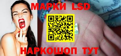 спиды Аргун