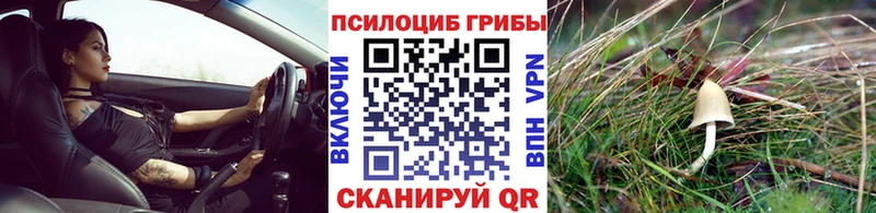 Псилоцибиновые грибы мухоморы  hydra ONION  Белогорск 