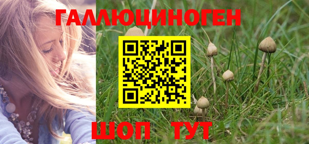 Белогорск  Галлюциногенные грибы мухоморы  Вход с VPN 