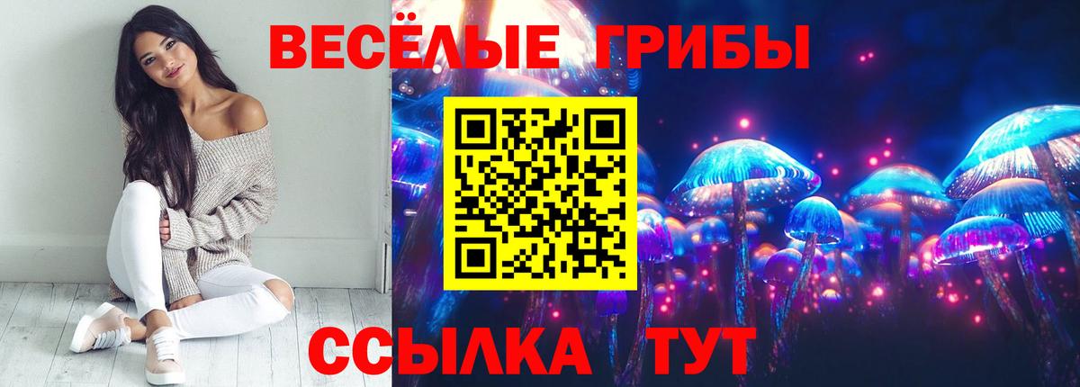 Галлюциногенные грибы GOLDEN TEACHER Белогорск